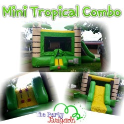 Mini Tropical Combo