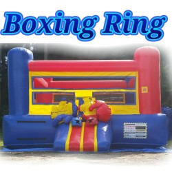 Boxing Ring Interactive Game